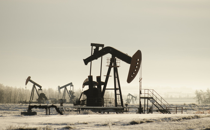 Crude Oil Prices Hold Steady Amidst Mixed Signals