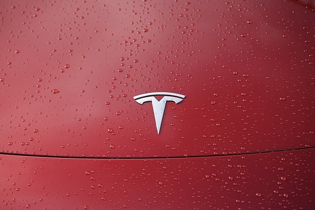 Tesla Soars on Surprise Earnings, Budget EVs Coming in 2025